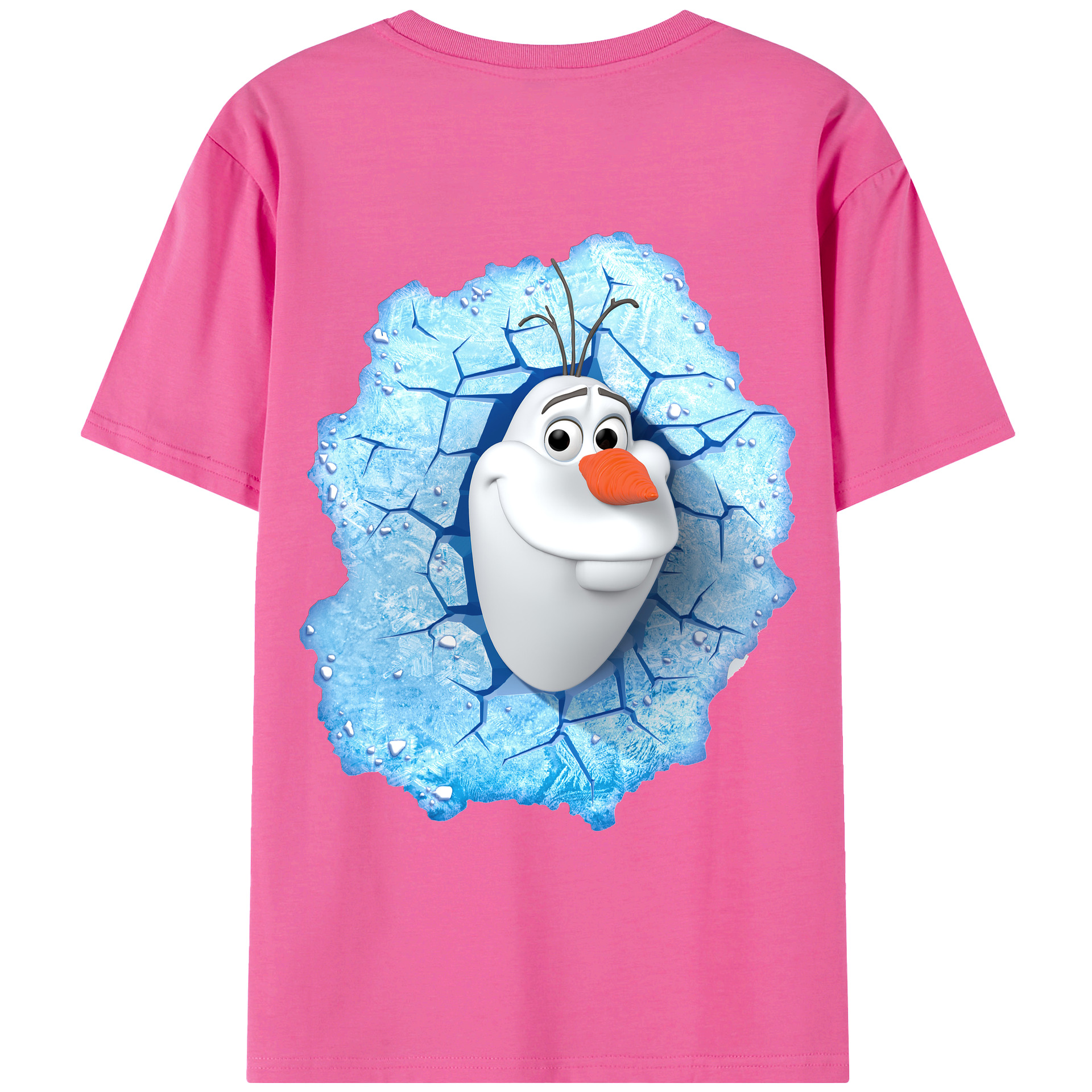 （画像用） アナと雪の女王 アンナ エルサ Frozen Anna Elsa レディース半袖Tシャツ(バックプリント)